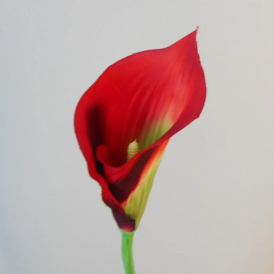 Artificial Calla Lily Red 71cm - L120 BX6