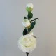 Artificial Camellias Cream 58cm - C118 A4