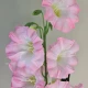 Artificial Campanula Bell Flowers Pink 87cm - C029 BB1