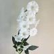 Artificial Campanula Bell Flowers White 87cm - C032 BB1