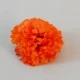 Short Stem Carnation Orange 9cm - C007 C3