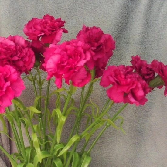 Silk Carnation Cerise Pink 60cm - C023 B3