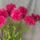 Silk Carnation Cerise Pink 60cm - C023 B3