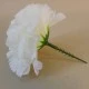 Short Stem Carnation Ivory 9cm - C066 FF3