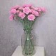 Artificial Spray Carnations Pink 60cm - C039 B3