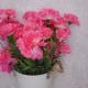 Fleur Artificial Carnations Bunch Pink 45cm - C244 J2