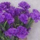 Fleur Artificial Carnations Bunch Purple - C256 J4