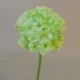 Mini Artificial Carnations Lime Green 31cm - C105 A3