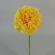 Mini Artificial Carnations Yellow 31cm - C106 C4