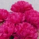 Pompom Chrysanthemum Carnival Hot Pink 80cm - C136 D4