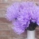 Artificial Spider Chrysanthemums Lilac 64cm - S137 S2