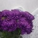 Artificial Flowers Bloom Chrysanthemums Purple 82cm - C259 
