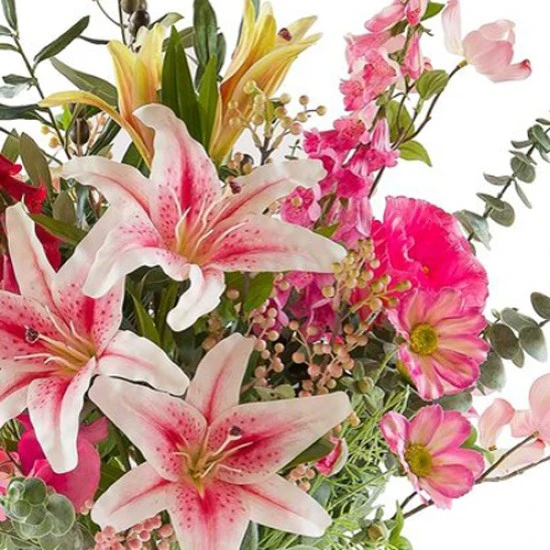 Carousel Cosmos Coral Pink 'Fruit Salad' 64cm - C120 C1