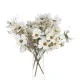 Artificial Cosmos Plants Cream 36cm - C078 BX8