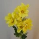 Artificial Cosmos Yellow 69cm - C100 B2