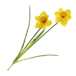 Artificial Daffodil Yellow 2 Flowers 59cm - D082 D3