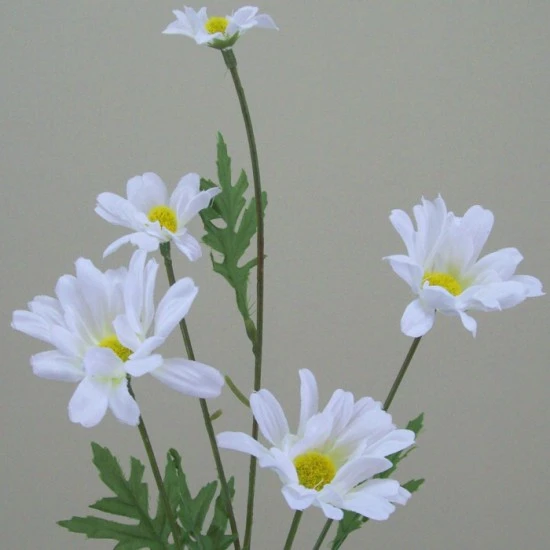 Silk Daisy Stem 69cm - D045 D4