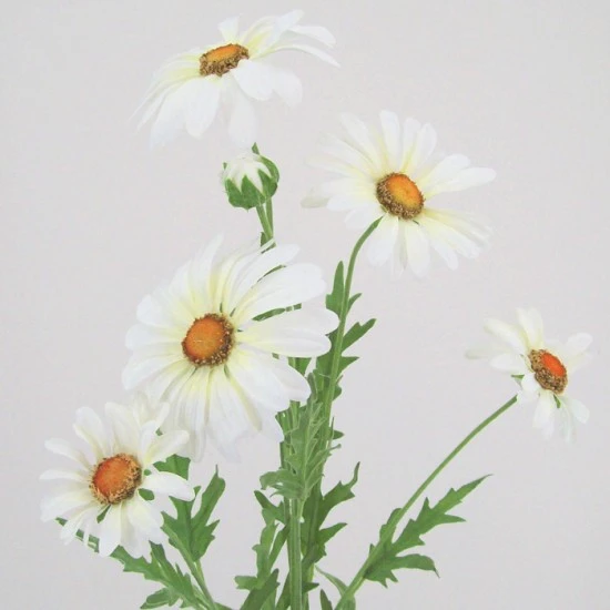 Silk Daisies | Large Artificial Field Daisy 64cm - D016 E2