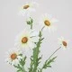 Silk Daisies | Large Artificial Field Daisy 64cm - D016 E2