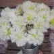 Artificial Dandelion Clock Meadow Flowers 50cm - D003 D4