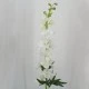 Luxury Ivory Silk Delphinium or Larkspur 72cm - D034 