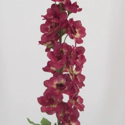 Plum Silk Delphinium or Larkspur 75cm - D024 D4