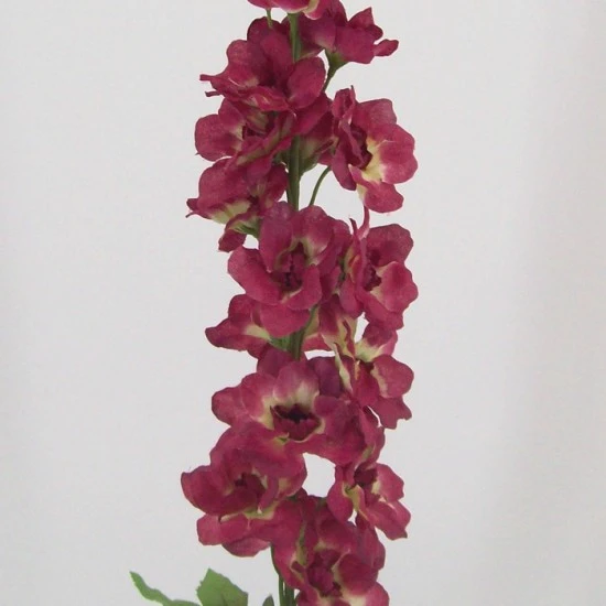 Plum Silk Delphinium or Larkspur 75cm - D024 D4