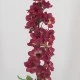 Plum Silk Delphinium or Larkspur 75cm - D024 D4