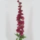 Plum Silk Delphinium or Larkspur 75cm - D024 D4
