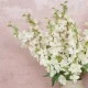 Luxury Ivory Silk Delphinium or Larkspur 72cm - D034 