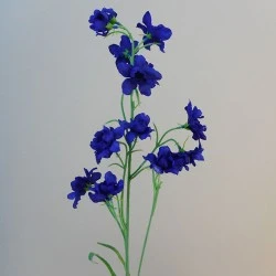 Galaxy Delphinium Dark Blue 78cm - D221 E2