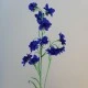 Galaxy Delphinium Dark Blue 78cm - D221 E2