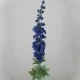 Midnight Blue Silk Delphiniums or Larkspur 75cm - D006 D3