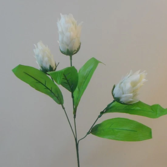 Dragon Fruit Spray White 68cm  - D101 G1