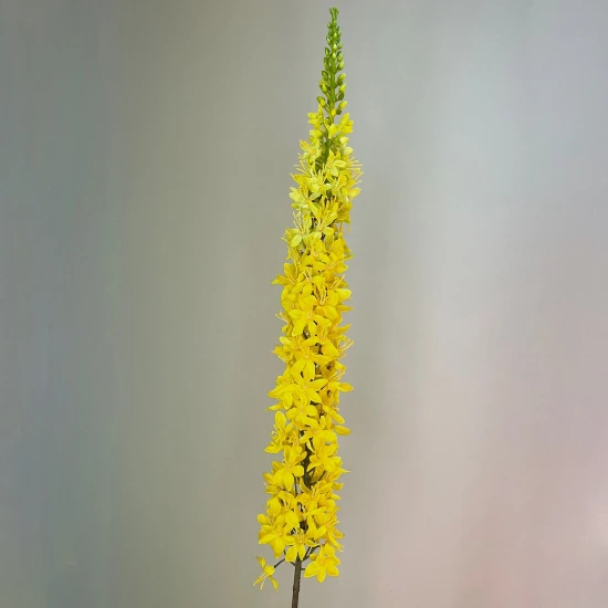 Artificial Eremurus | Foxtail Lilies Yellow 109cm - E001 R2