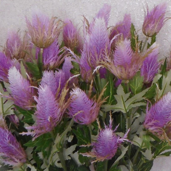 Artificial Eryngium Thistles Sea Holly Lilac 68cm - E014 E1