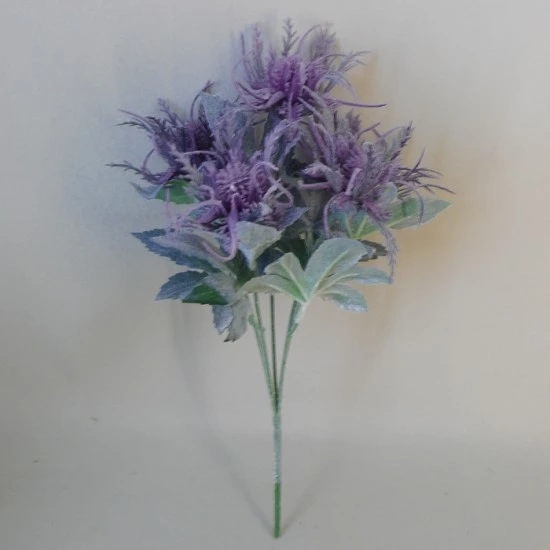 Wild Sea Holly Thistles Plant Purple 35cm - E011 BB1
