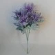 Wild Sea Holly Thistles Plant Purple 35cm - E011 BB1