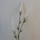 Artificial Fox Tail Flowers Cream 70cm - F061 G3