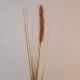 Artificial Fox Tail Flowers Rust 69cm - F062 AA3