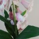Artificial Foxgloves Pale Pink 98cm - F069 I4