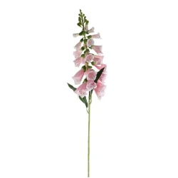 Artificial Foxgloves Pale Pink 80cm - F075 G2