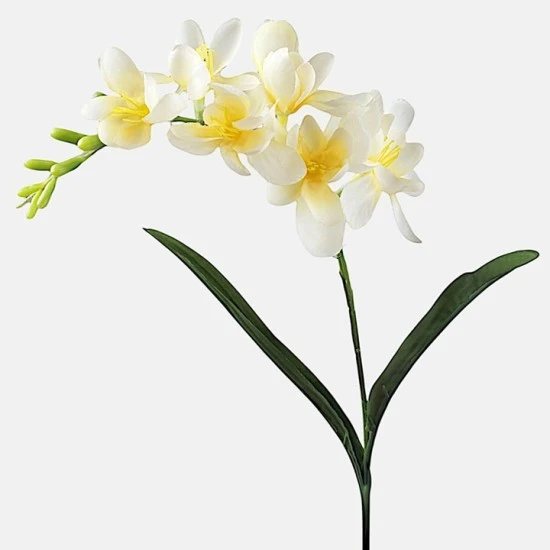 Freesias Stem Lemon 56cm - F022  AA2