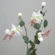 Silk Double Fuchsia Stem Ivory 50cm - F026 H3