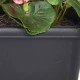Artificial Plants Pink Geraniums in Black Trough - PLA001 5C