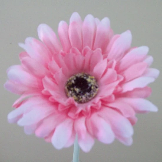 Artificial Gerbera Baby Pink Small 57cm - G136 E2