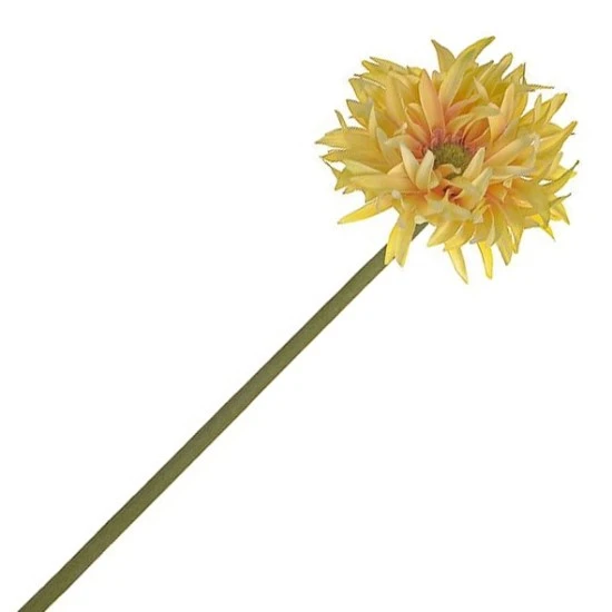 Calypso Gerbera Pasta Limone Yellow 55cm - G067 E3