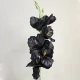 Artificial Gladiola Black 54cm - G089 H2