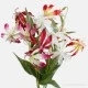 Artificial Gloriosa Flame Lily Pink and White 80cm - G012 E1