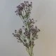 Artificial Gypsophila Aubergine Purple Baby's Breath 74cm - G022 D2